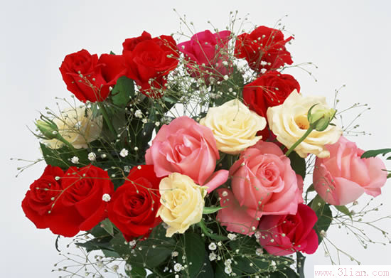 鲜花在家居风水中有啥作用 五行属木选择颜色与对应的方位风水有讲究